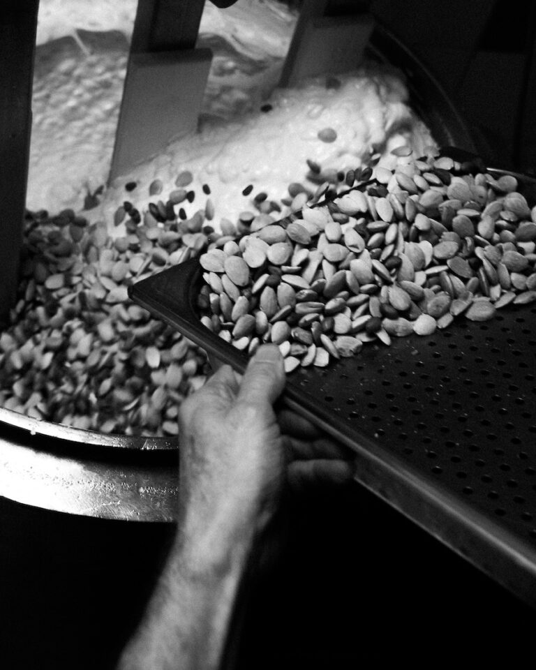 Nougat maison Senequier Saint-Tropez