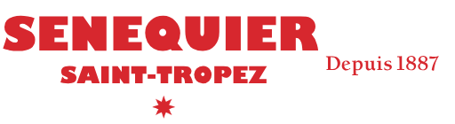 logo main